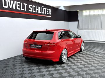 Bild 19